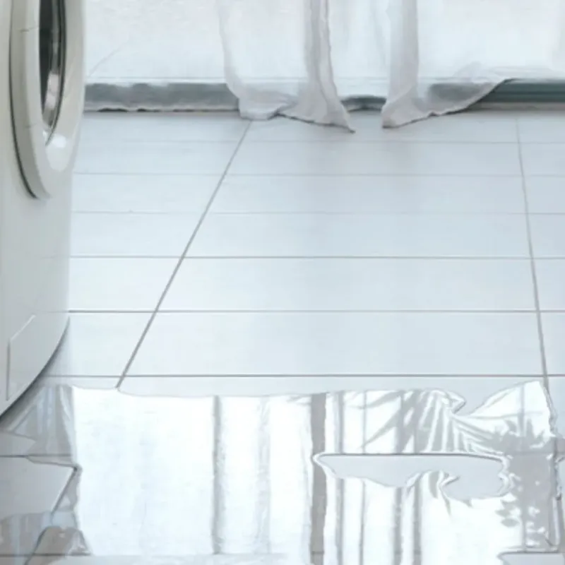 Appliance Leak Cleanup in Van Wert, OH