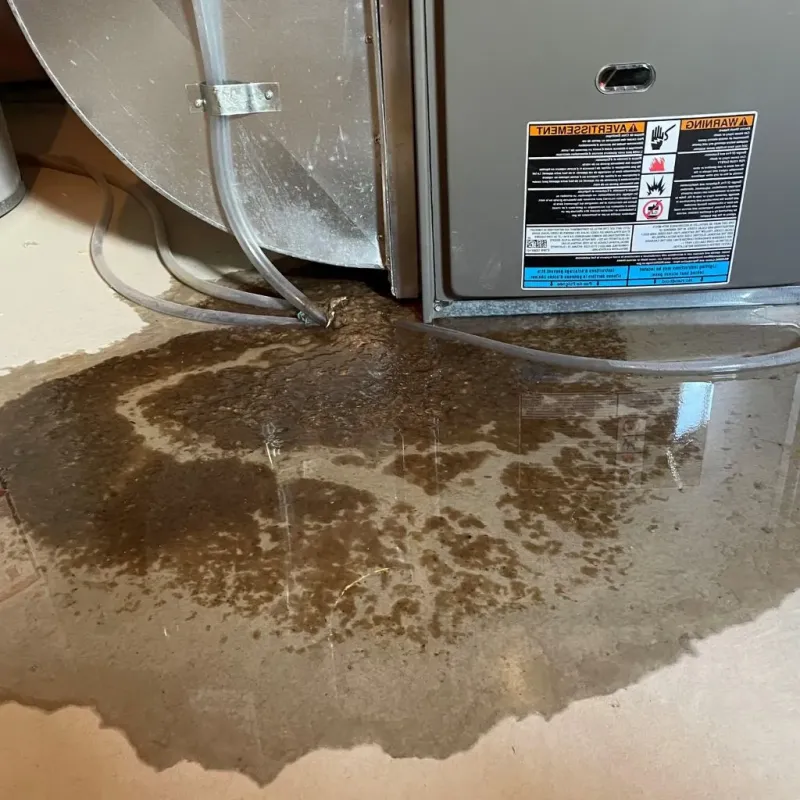 Pipe Burst and Leak Restoration in Van Wert, OH
